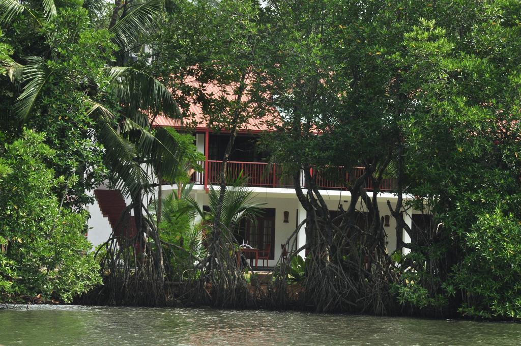 Lagoon Bentota Resort Kültér fotó
